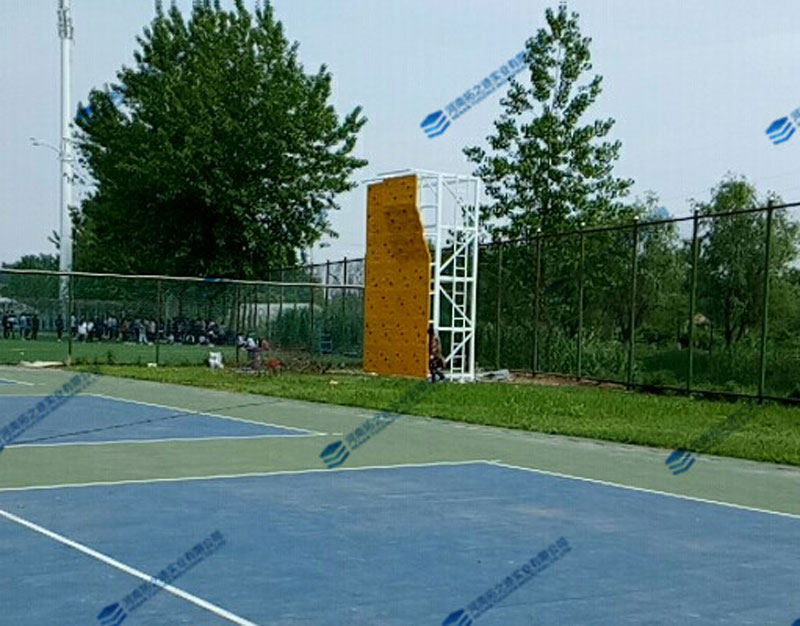 1606642087357918.jpg 800.jpg